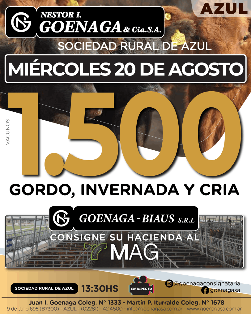 Banner Los Tigres